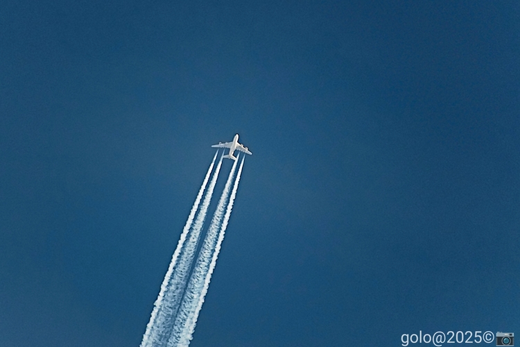 . A 340 Cargo .