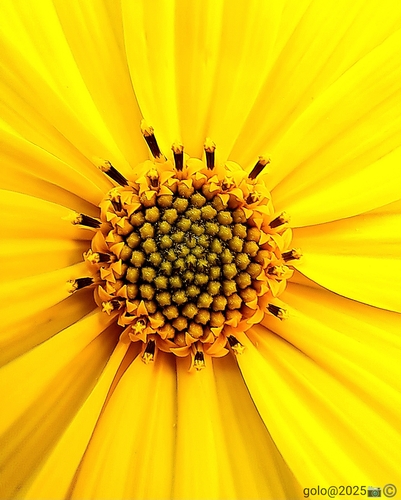  . Makro .