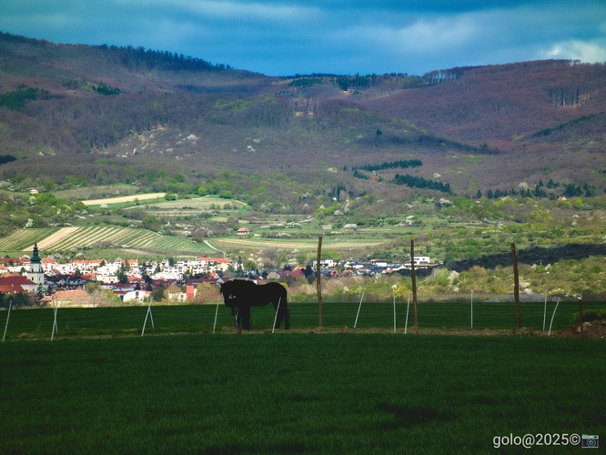  . Pod Karpatmi .