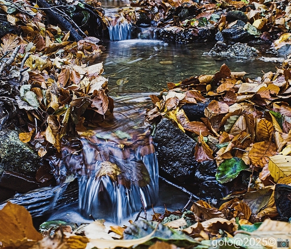 . Malokarpatské potôčiky .
