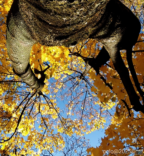 . Jesenné objatie oblohy .