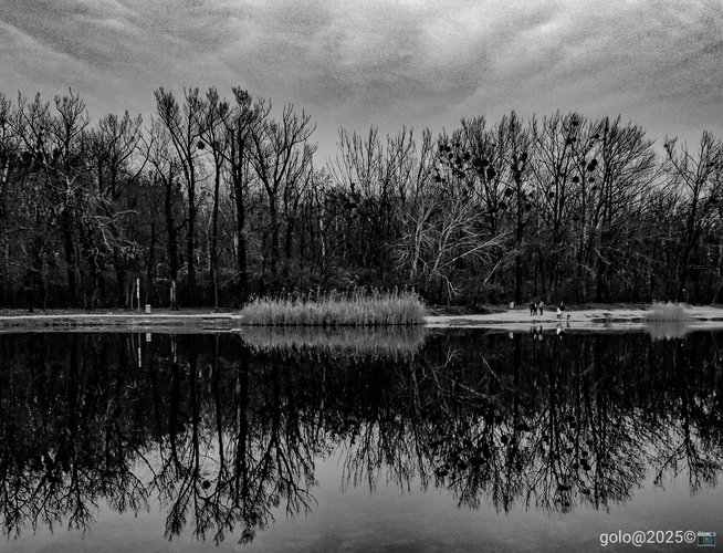 . Keď nieto ľadu . ll