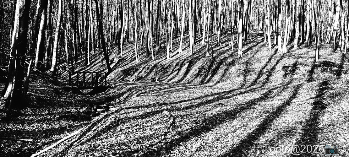 . Malokarpatské dlhé tiene .