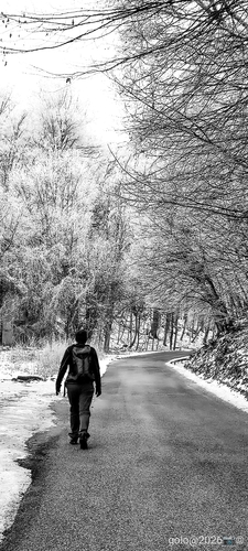 . V Malých Karpatoch .