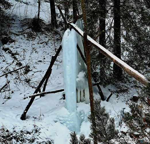 . ❄️❄️❄️ .