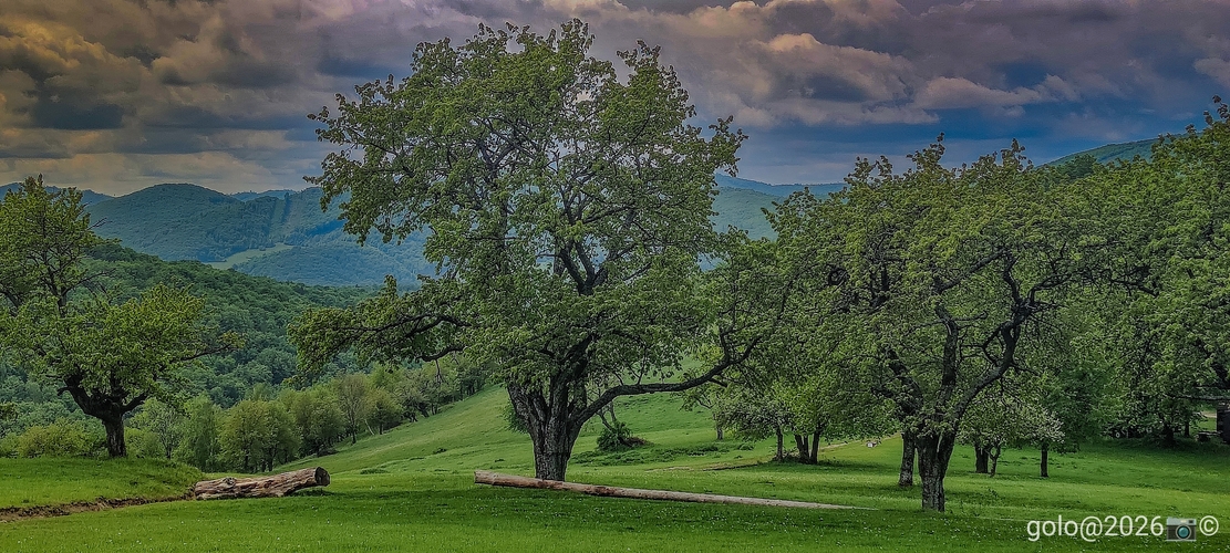 . Slovensko .