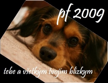 pf 2009 všetkým """ flogerom """