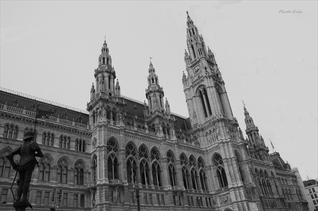 Rathaus - Viedeň
