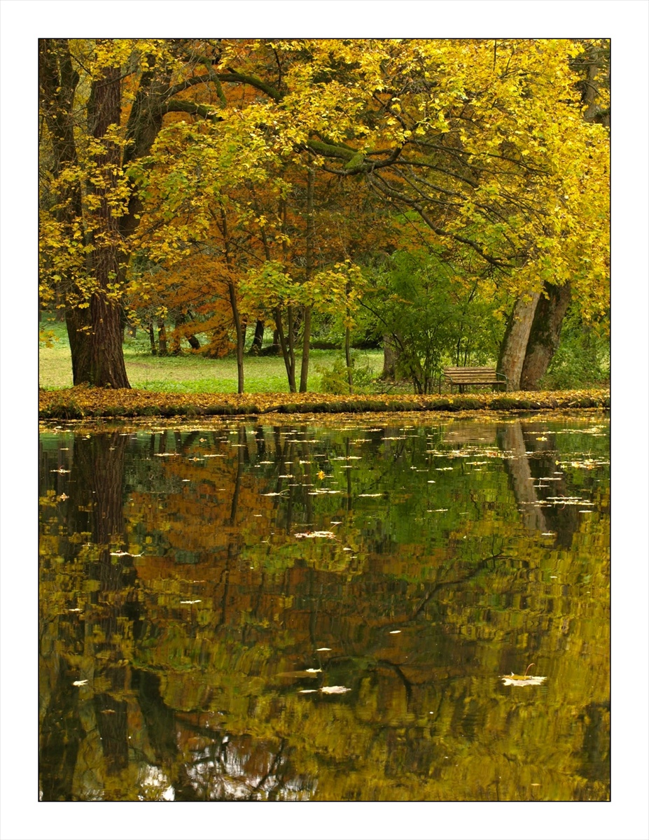 Parkové jesenné zrkadlenie