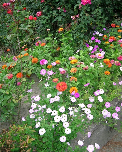 Zahrada s kvetmi