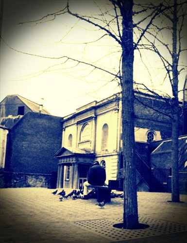 holuby z Bonn Square