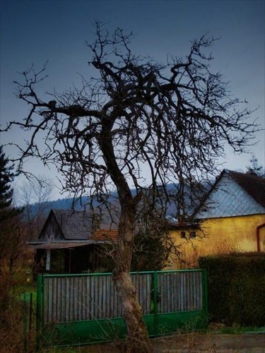strašidelný strom