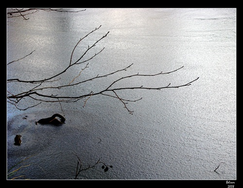 zima na rybníku II.