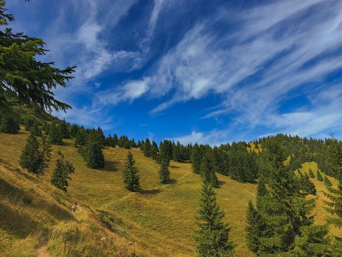 Čerstvý vzduch, pokoj a ticho 