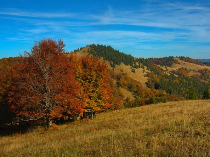 Jesenná kráska Veľká  Fatra