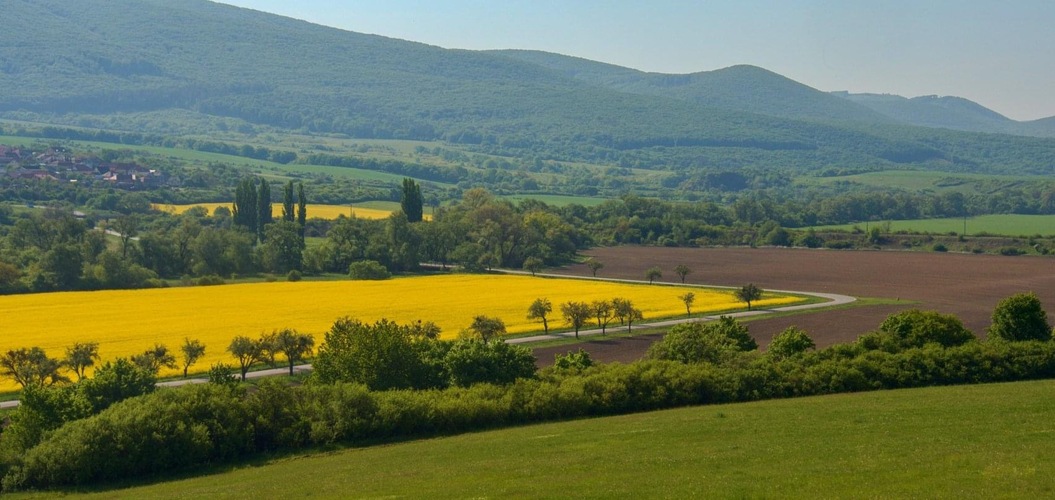 Pohľad na Slanské  vrchy