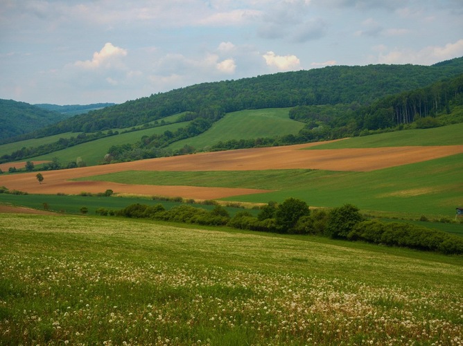 Jarné lúky a polia