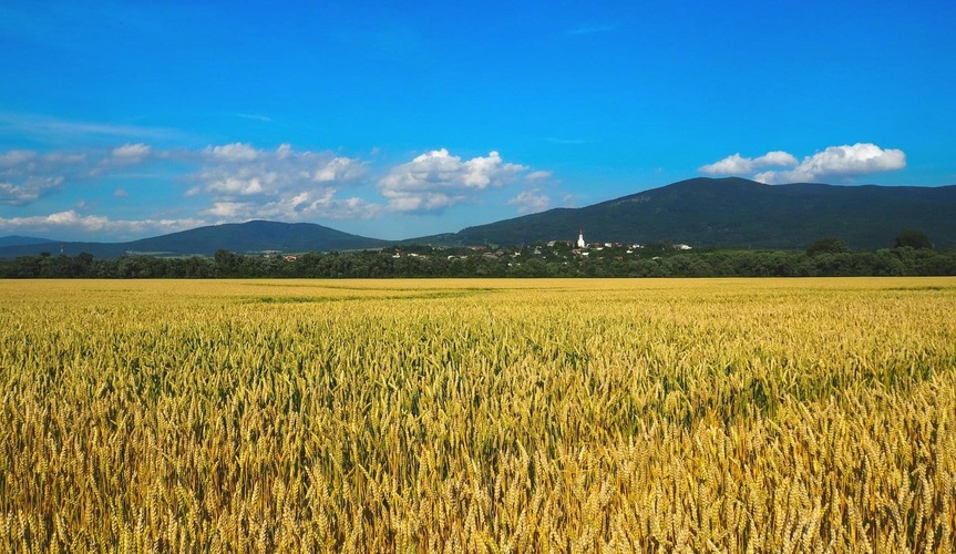 Slanské vrchy a Nižná Myšľa
