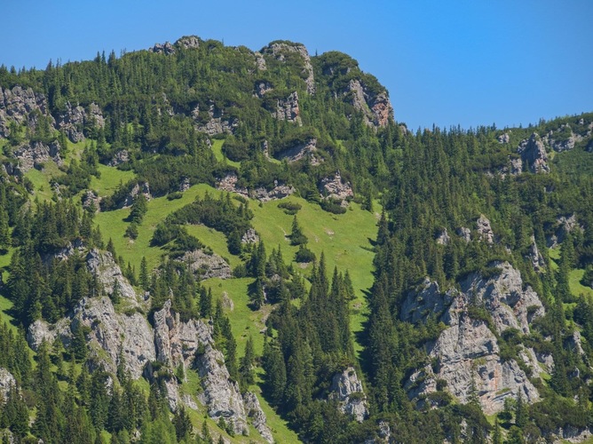Pusté