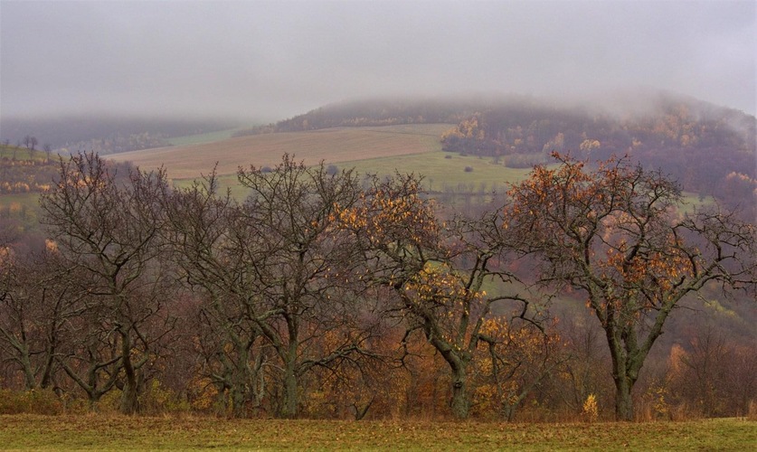 Novembrová  nálada