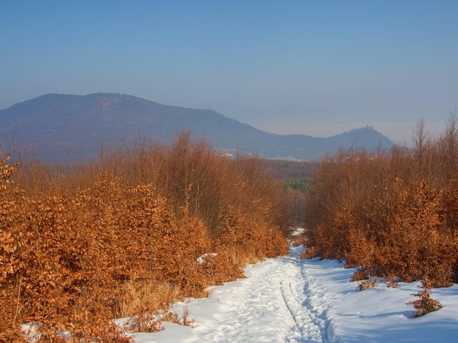 Pohľad na PR Slanský hradný  vrch