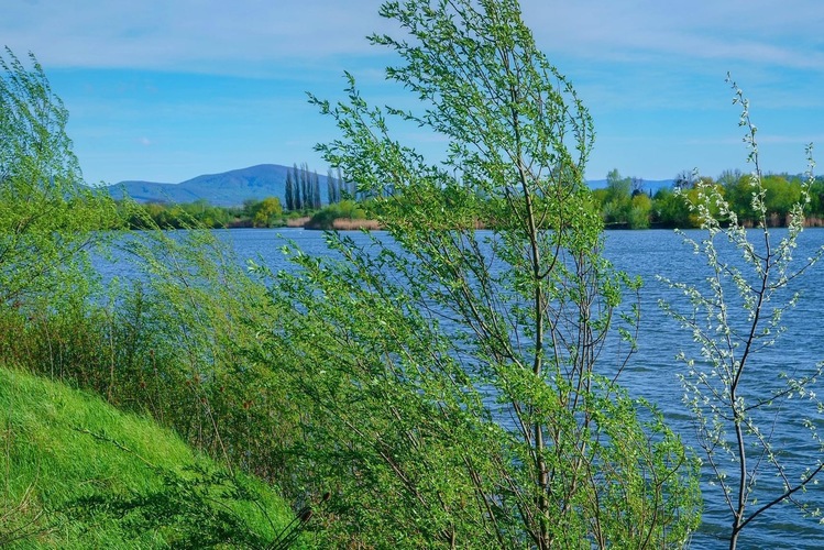 Štrkovisko  Krásna