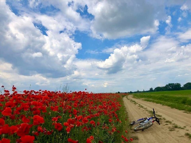 Cestičkou