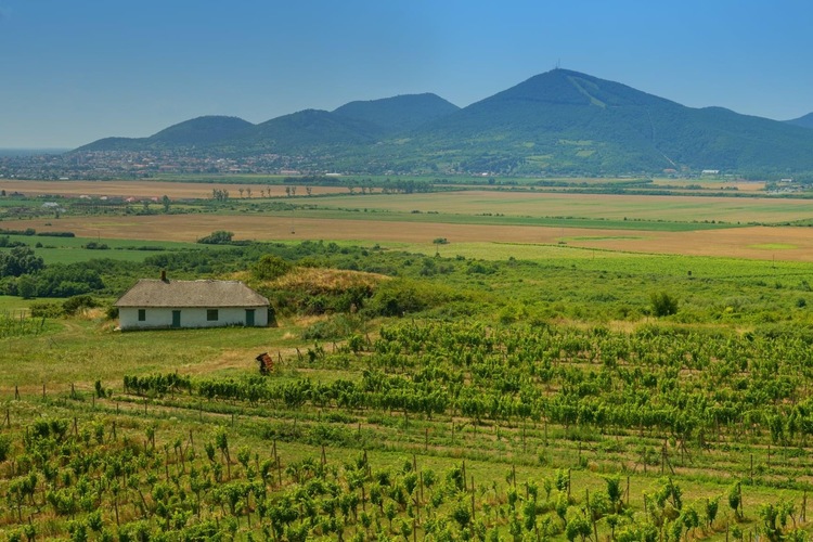 Tokaj