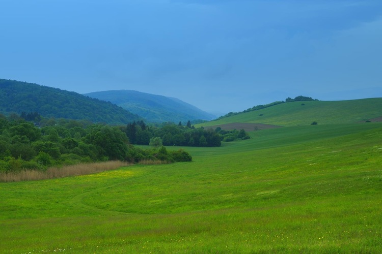 Zelenou  cestičkou 