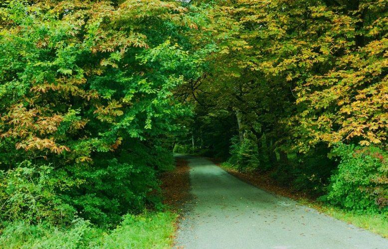 Jesennou  cestičkou 🍂