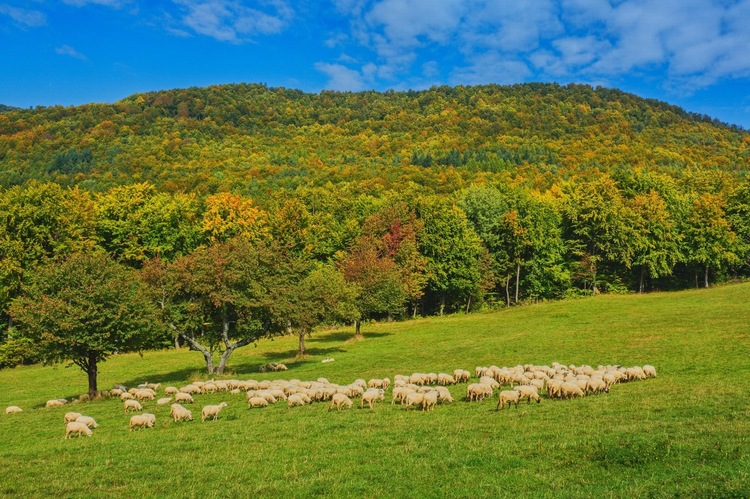 Jesenná  pohodička🍂