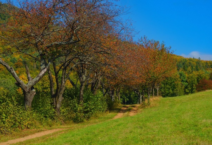 Jesennou  cestičkou 🍂🍂🍂