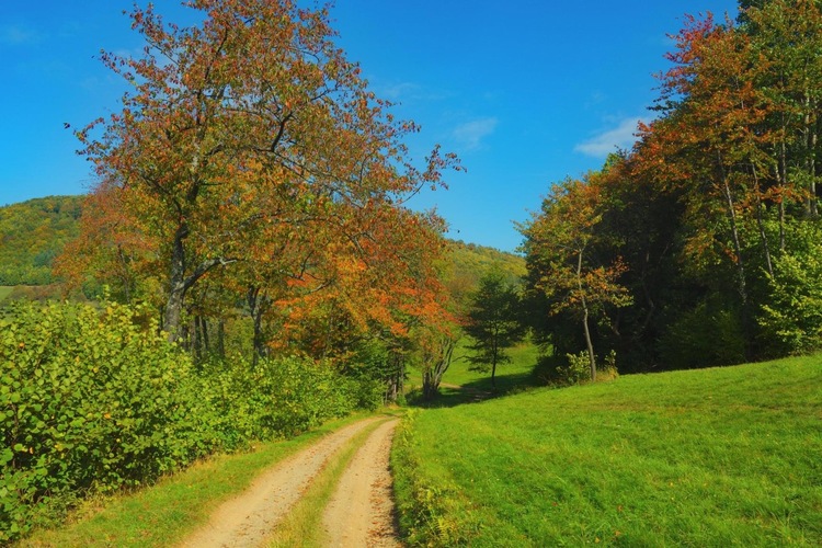 Jesennou  cestičkou 🍂
