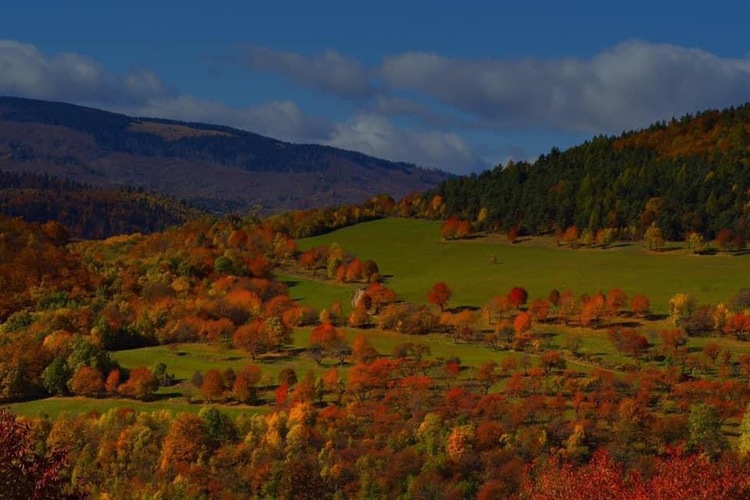 Jeseň  farbí  prírodu 🍂