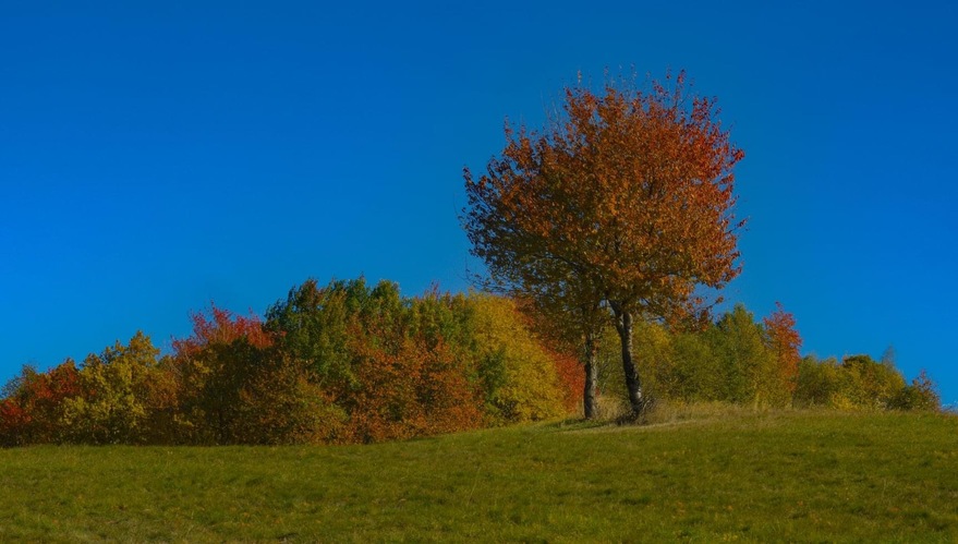 Jeseň... Vždy vonia  nesplnenými snami🍂