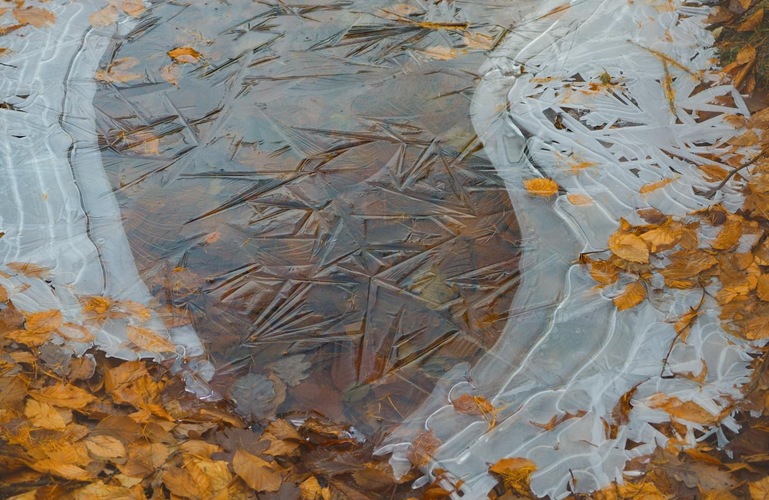 Ranný  mrazík 🍂