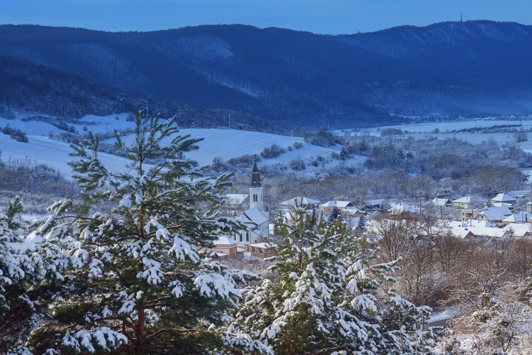 Mrazivé  ráno ❄️❄️❄️
