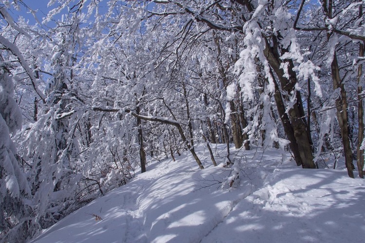 Čaro  zimy ❄️