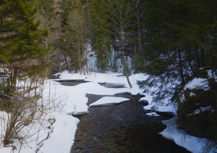 Pohľad  zimy ❄️