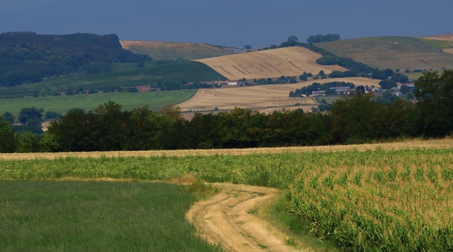 Cestičkou TIBIKE🚴‍♀️