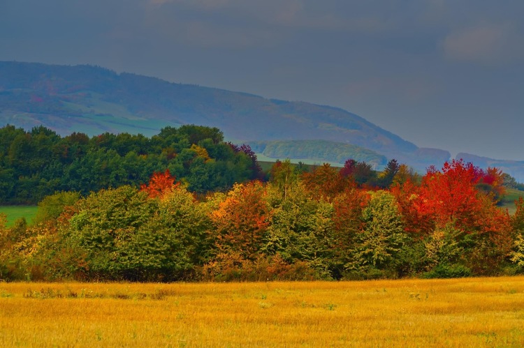Jesenné farbičky 🍂