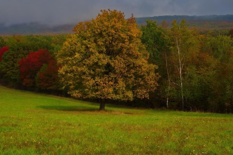 Jeseň 🍂