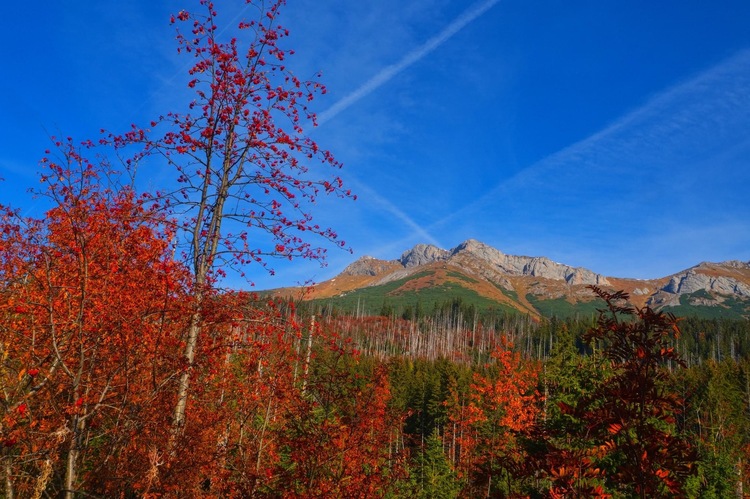 Jeseň  na horach 💙🍂⛰