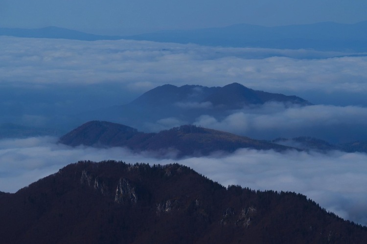 Malofatranska inverzia 💙