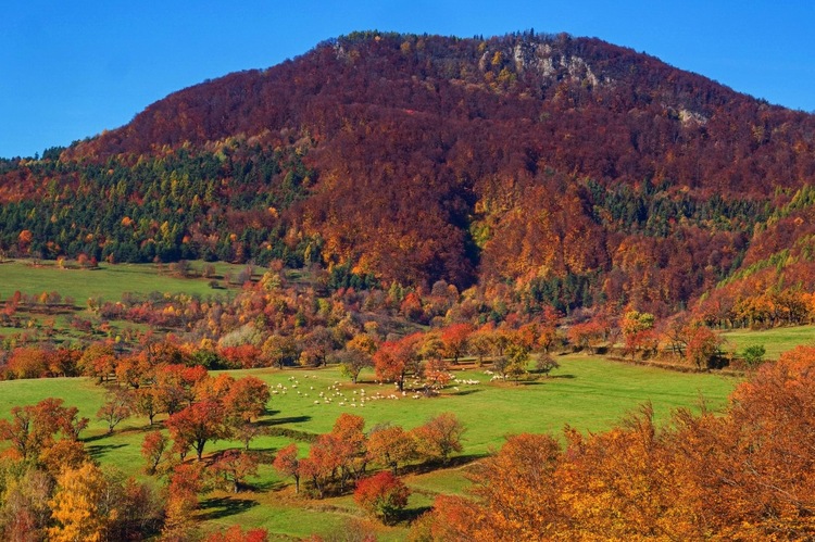 Keď jeseň maľuje 🍂🍂🍂
