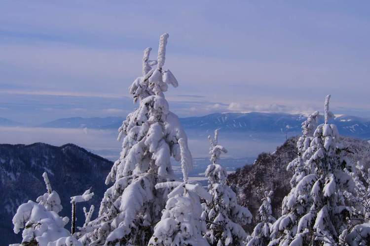 Šípska  Fatra