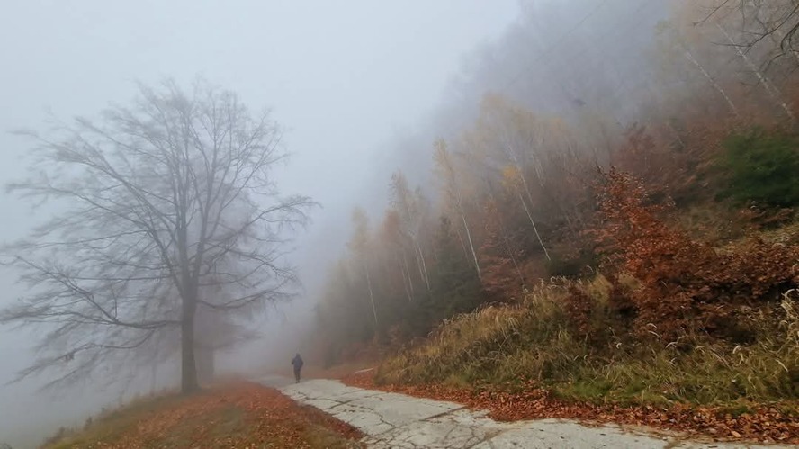 Kroky v hmle sú ako kroky v snoch - neisté,  ale plné  objavov 