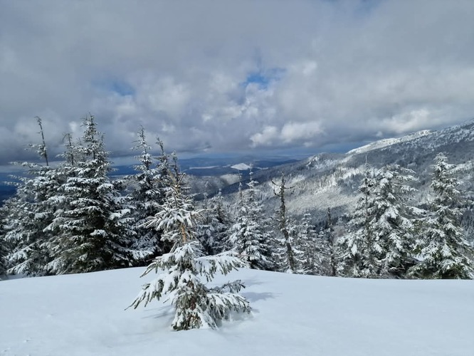 Pohľad  zimy❄️