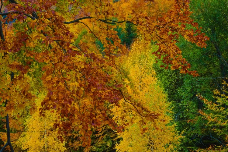 Jesenné  farbičky🍂🍂🍂