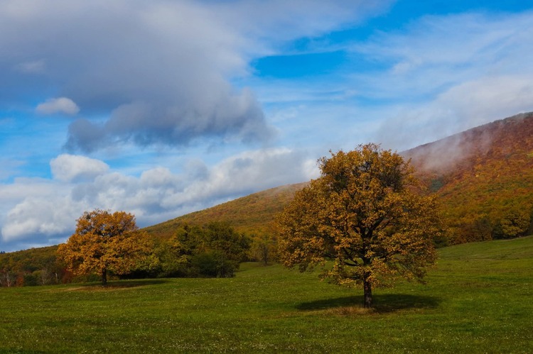 V jesennom šate 🍂🍂🍂